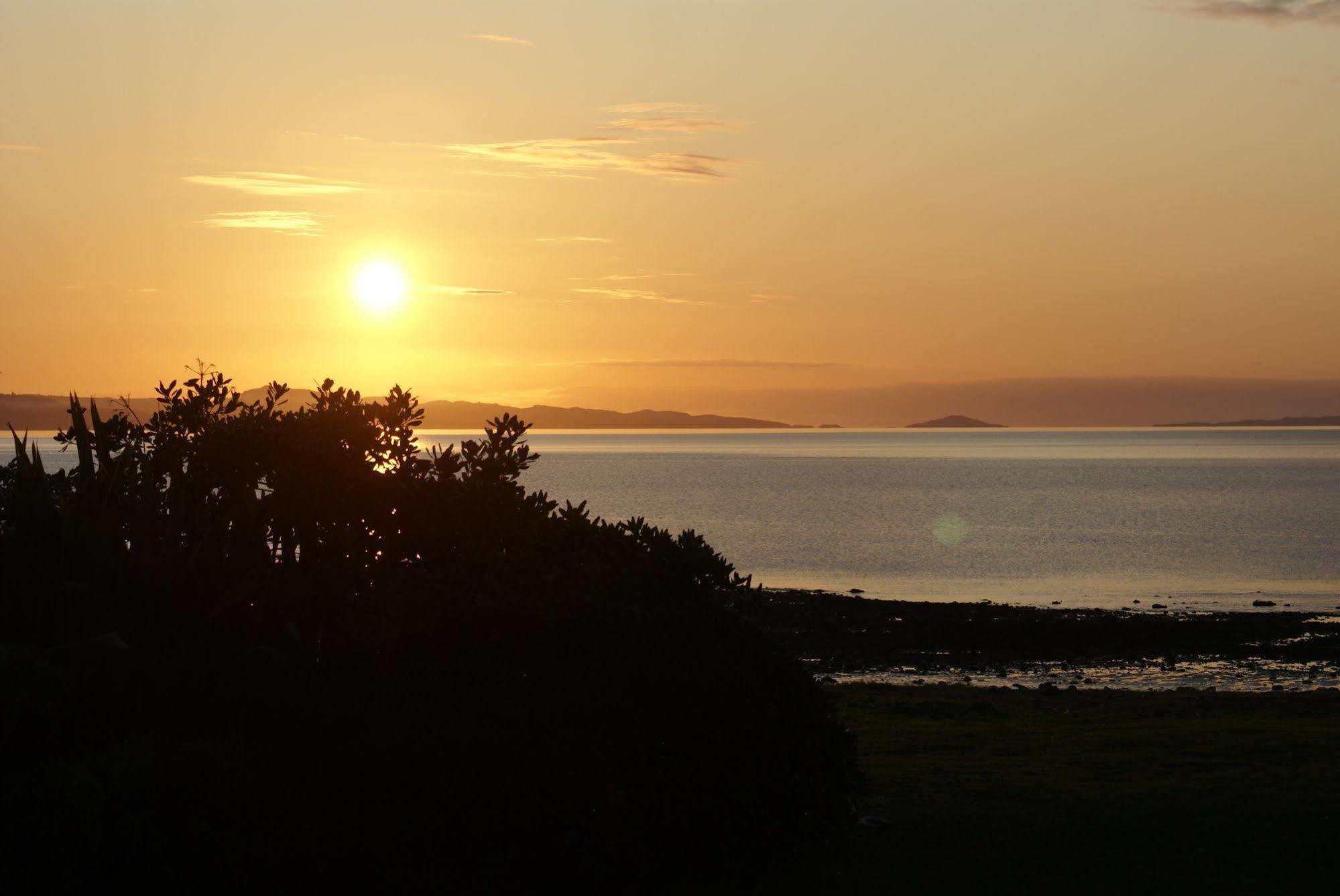Te Puru Beach Lodge Exteriör bild