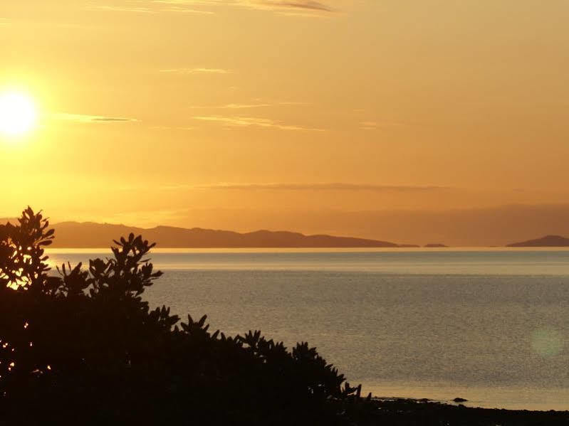 Te Puru Beach Lodge Exteriör bild